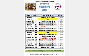 Tournoi du mois de novembre
