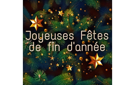 Joyeuses fêtes de fin d'année